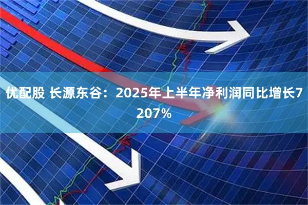 优配股 长源东谷:2025年上半年净利润同比增长7207%