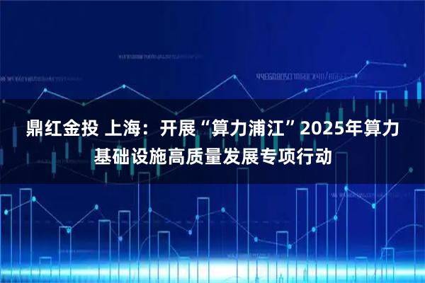 鼎红金投 上海：开展“算力浦江”2025年算力基础设施高质量发展专项行动