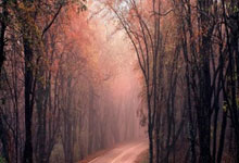 配资炒股网站平台:配资平台官网网址-中信证券：近期电子行业多个细分板块相关公司发布涨价通知 建议关注受益确定性最高的环节